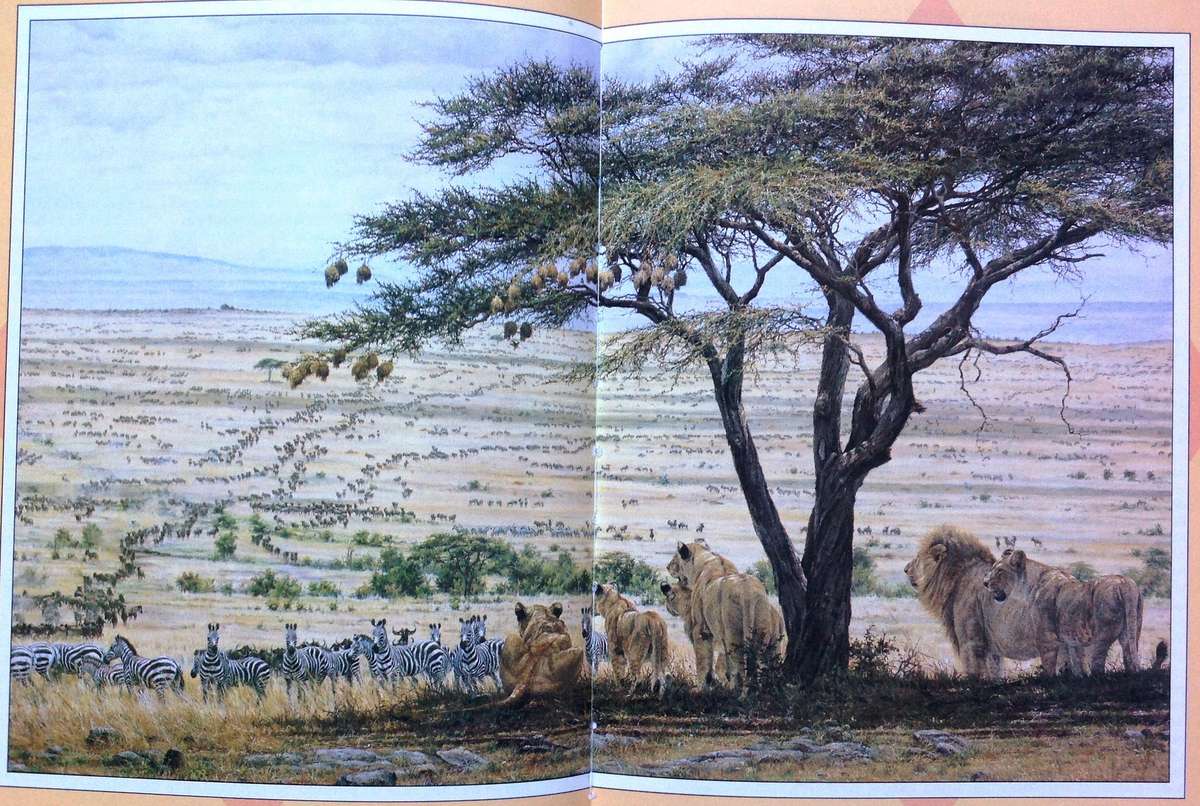 The Illustrated Out of Africa - Karen Blixen - Hardcover
