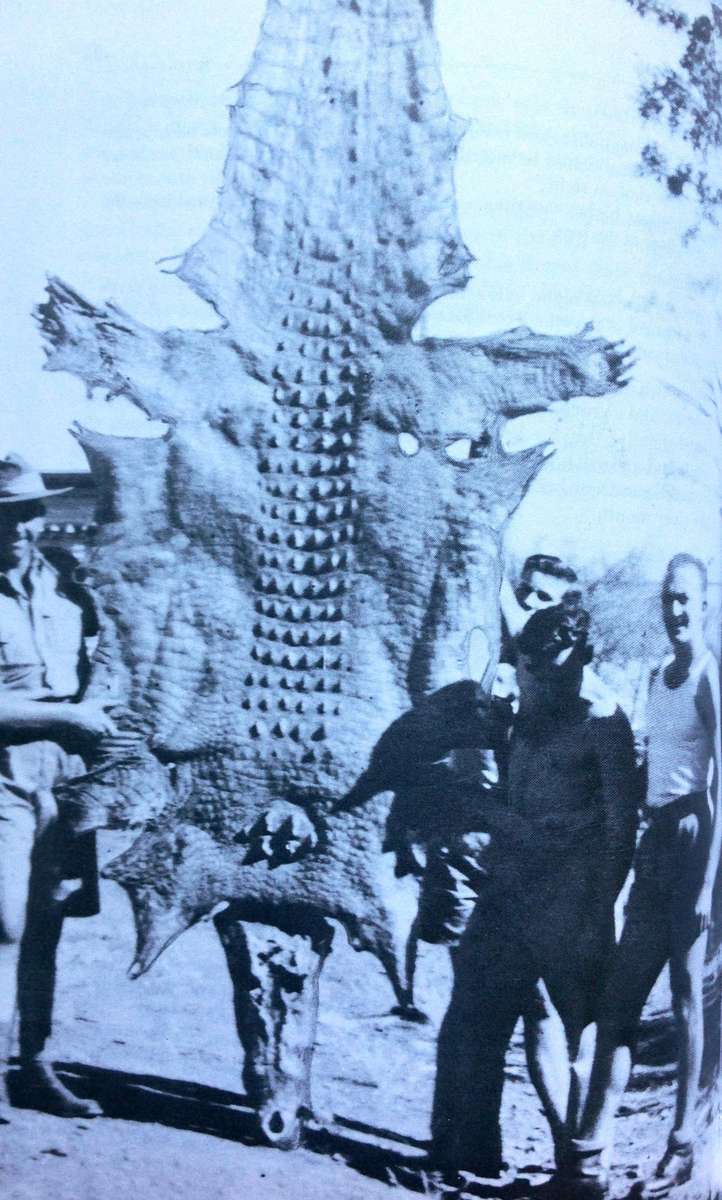Curtin's Cowboys - Australia's Secret Bush Commandos (World War 2) - Richard Walker and Helen Walker