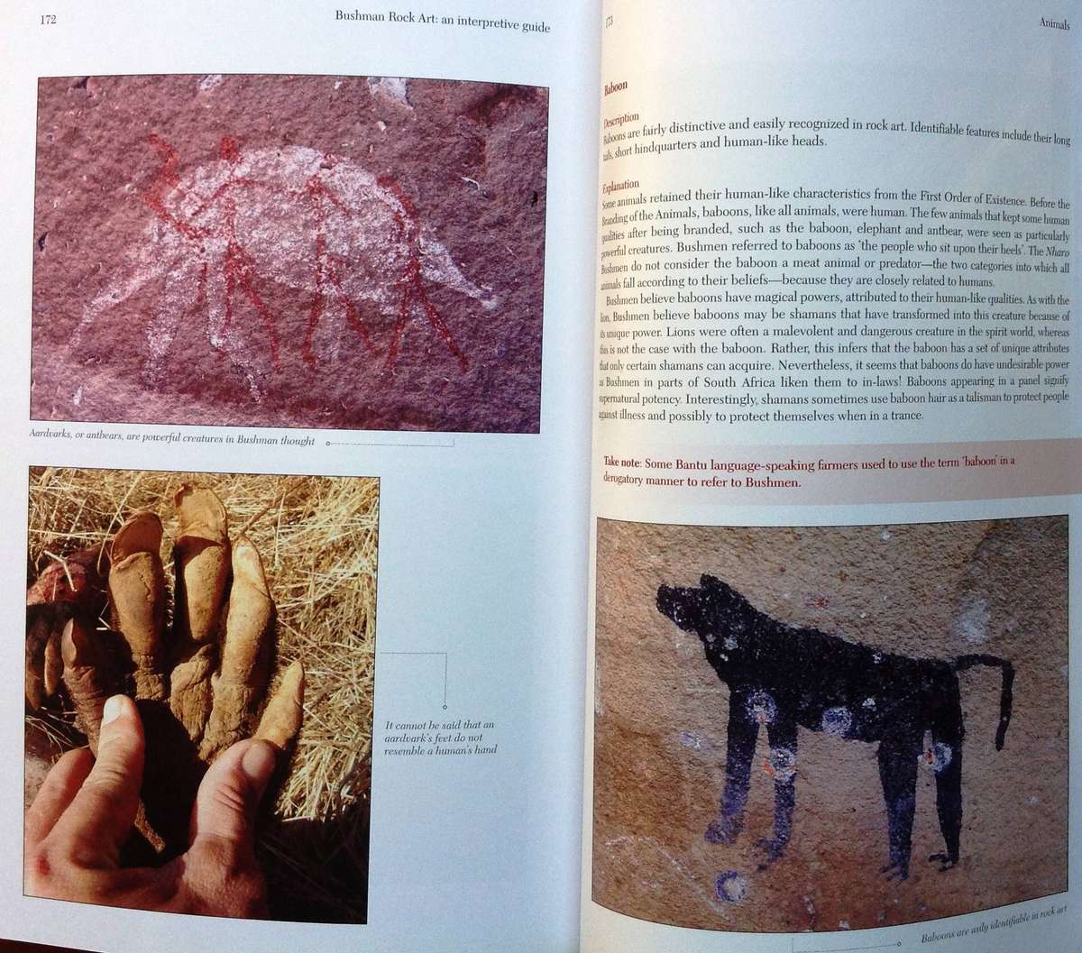 Bushman Rock Art - Forrsman and Gutteridge