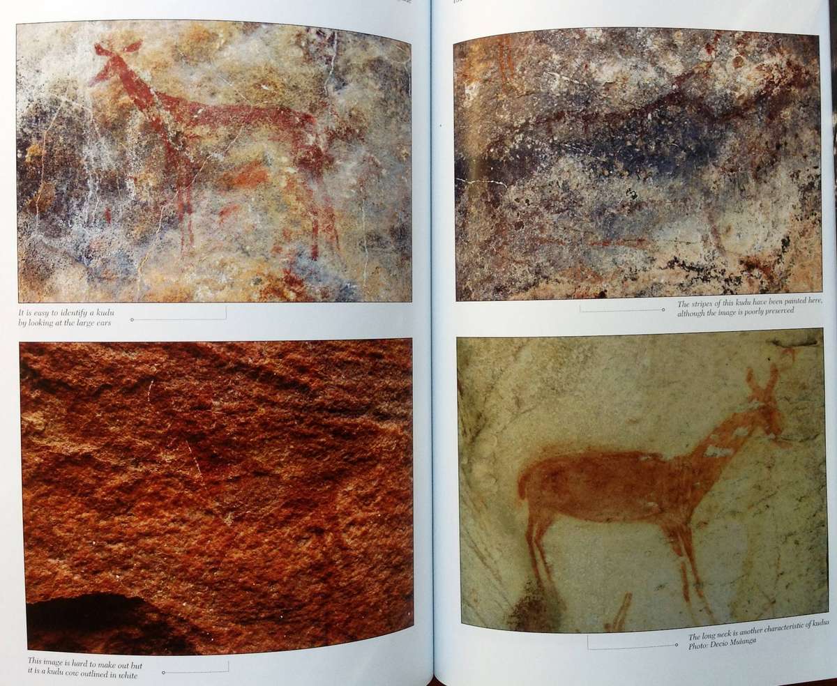 Bushman Rock Art - Forrsman and Gutteridge