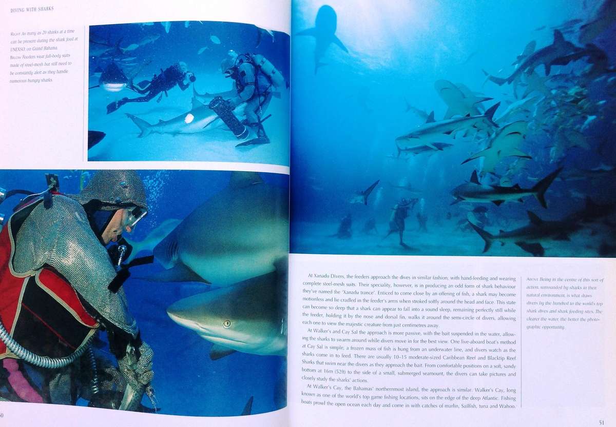 Diving with Sharks...and other Adventure Dives - Jack Jackson