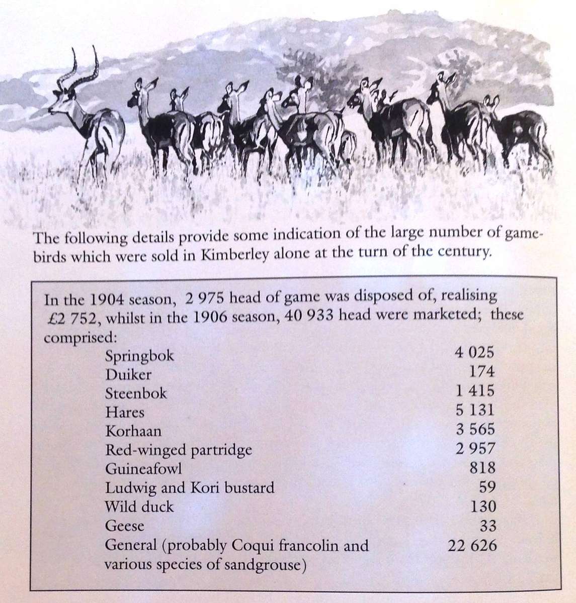 The Sport of Shooting in Southern Africa - Aubrey Wynne-Jones - Hardcover - signed by Author