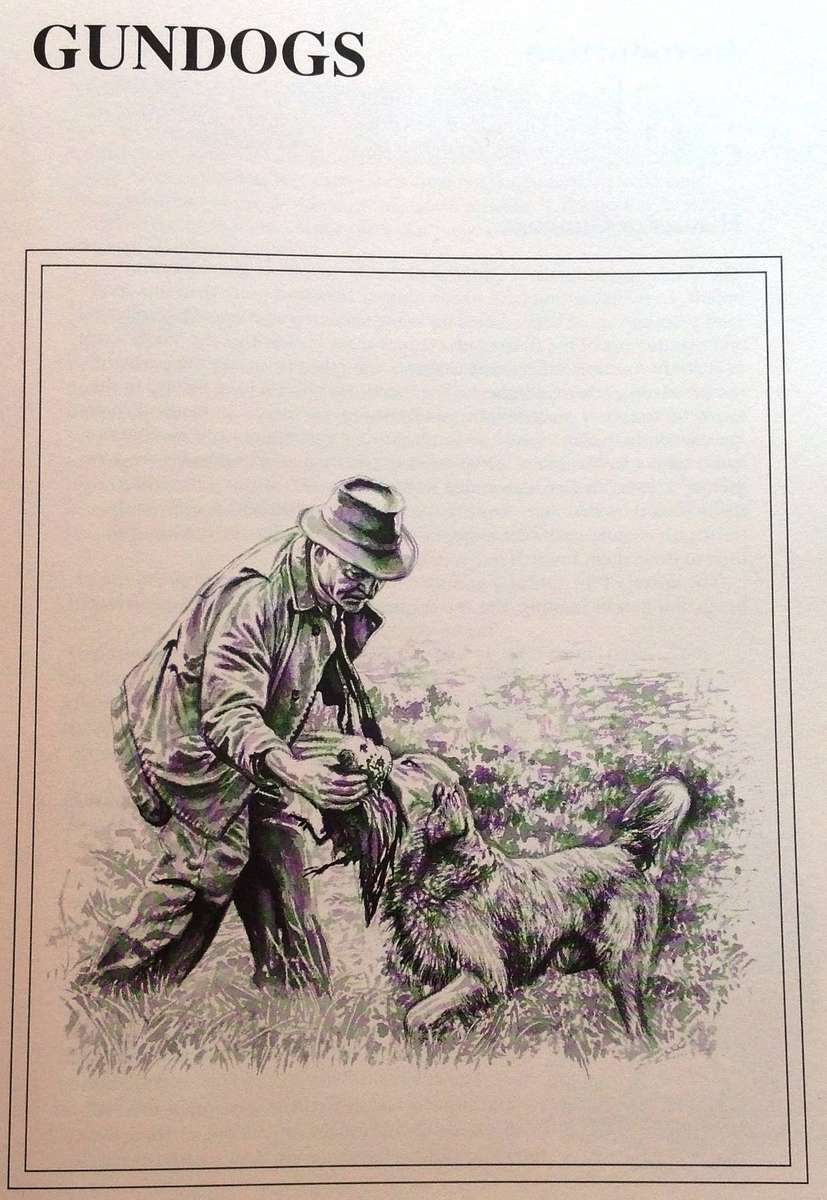 The Sport of Shooting in Southern Africa - Aubrey Wynne-Jones - Hardcover - signed by Author