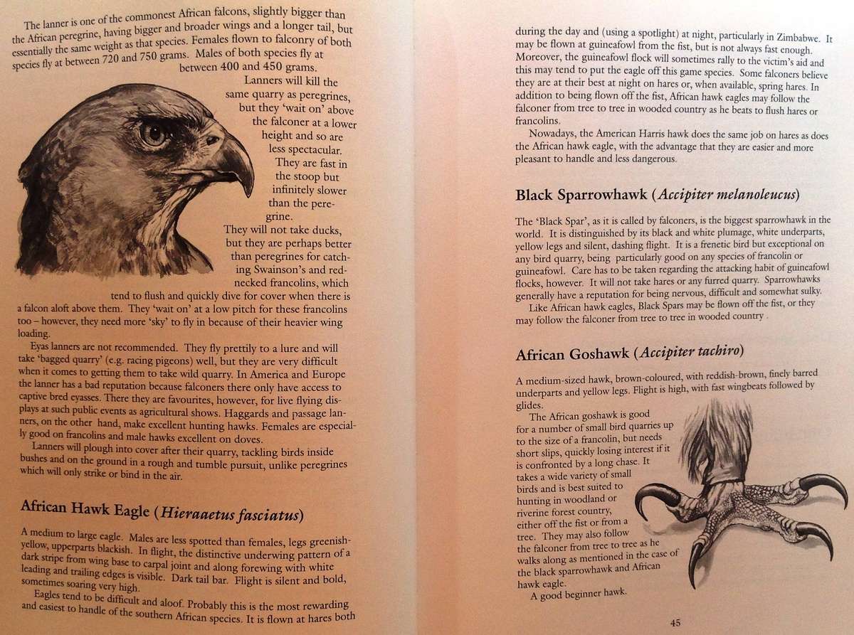 The Sport of Shooting in Southern Africa - Aubrey Wynne-Jones - Hardcover - signed by Author