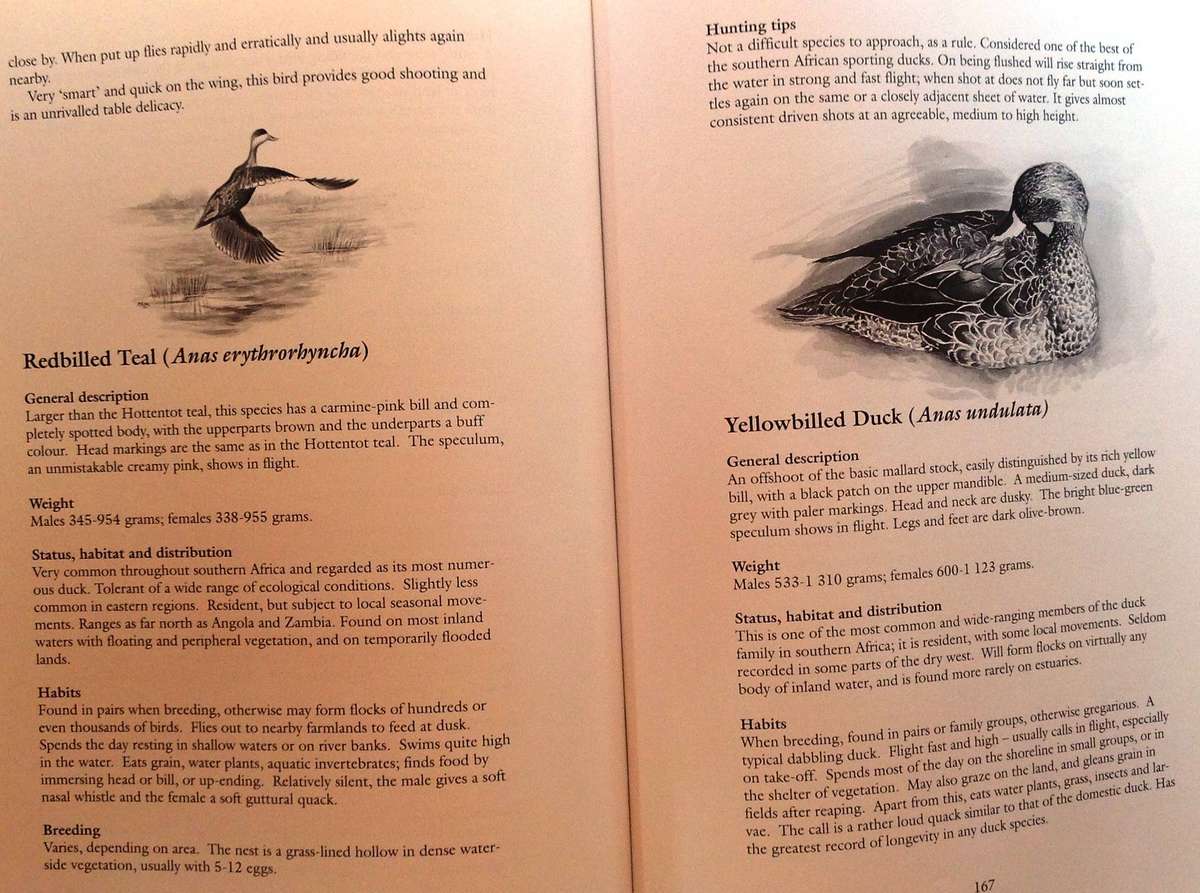 The Sport of Shooting in Southern Africa - Aubrey Wynne-Jones - Hardcover - signed by Author