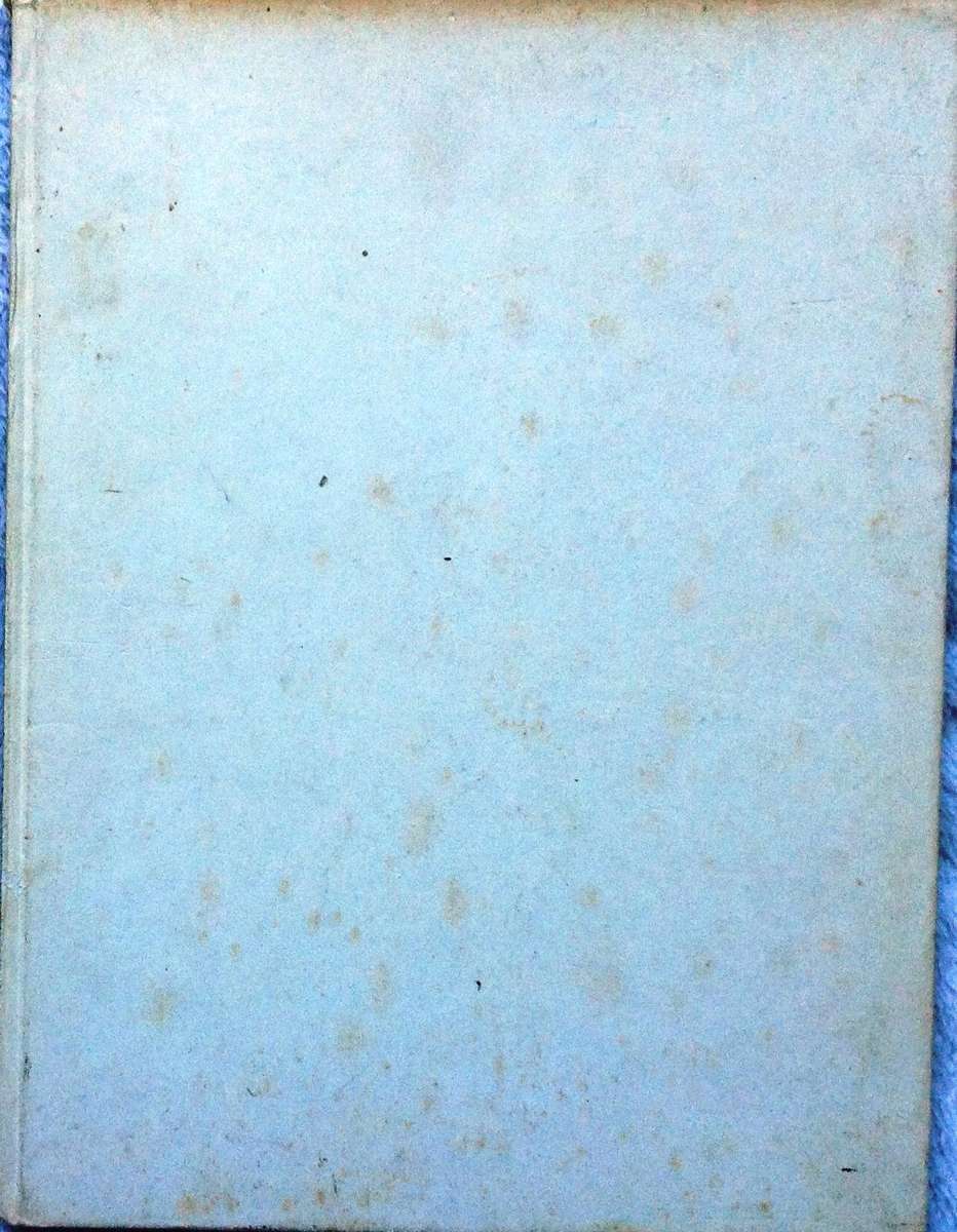 Sea Shells - How to Identify and Collect them - Translated from Italian by Sergio Angeletti