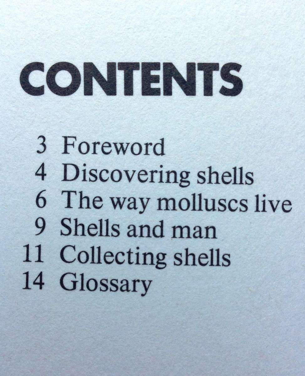 Sea Shells - How to Identify and Collect them - Translated from Italian by Sergio Angeletti