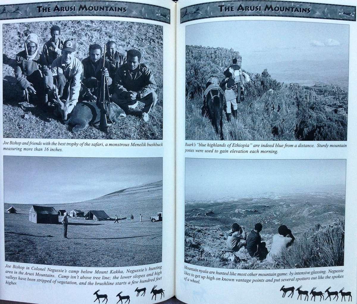 Where Lions Roar - Ten More Years of African Hunting - Craig T Boddington - Hardcover