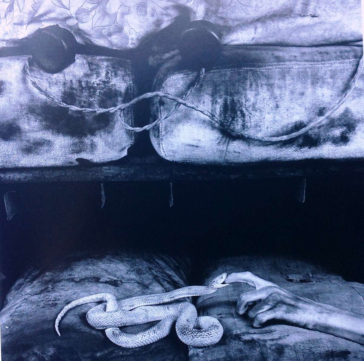 Roger Ballen - Die Antwoord - I Fink U Freeky - Hardcover - brand new book