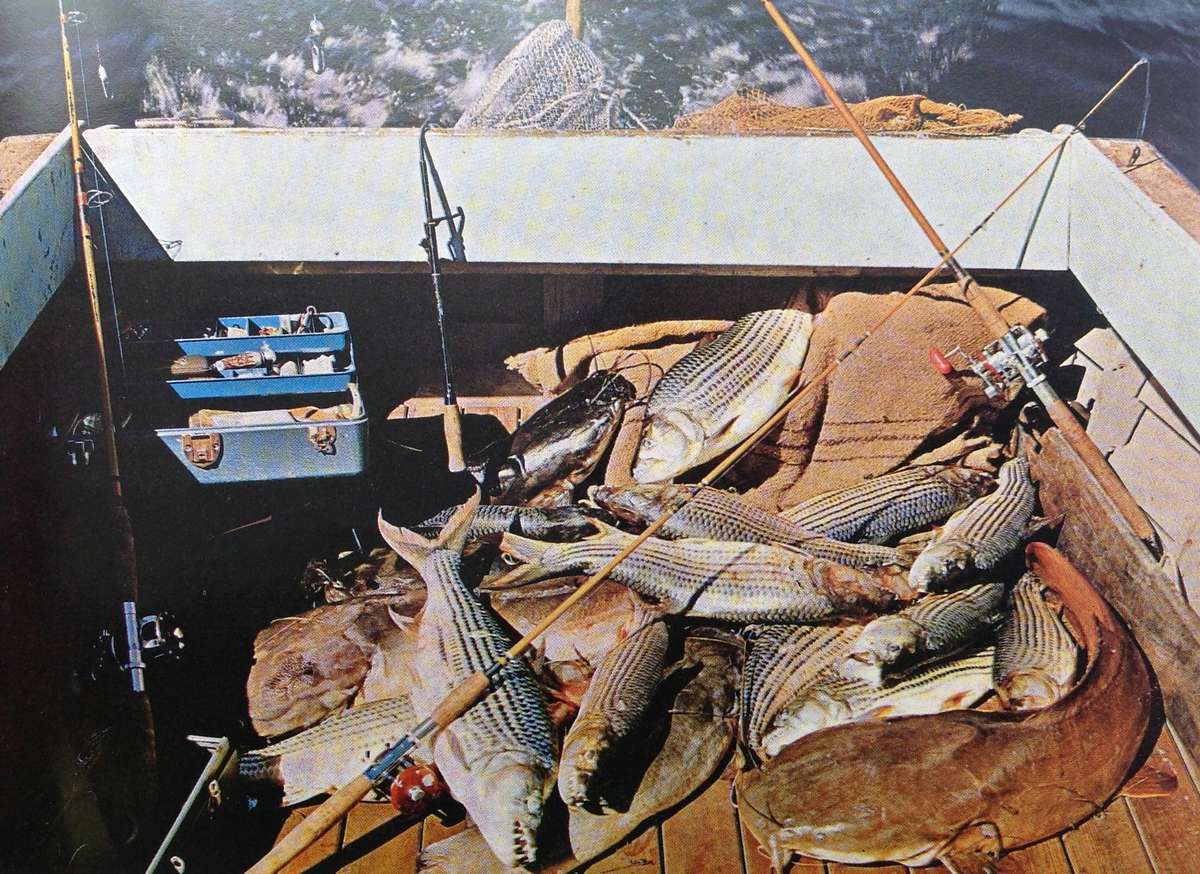 Pictorial Rhodesia - written by Norna Edwards