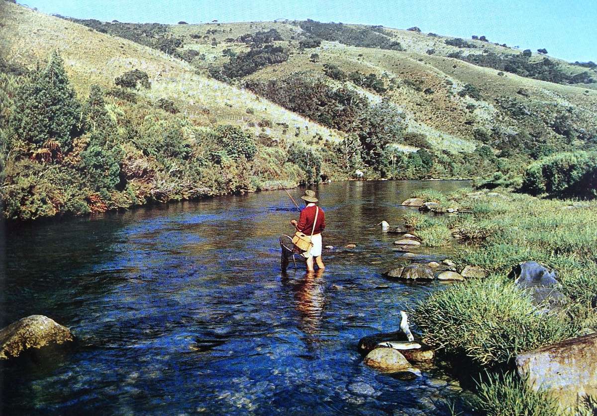 Pictorial Rhodesia - written by Norna Edwards