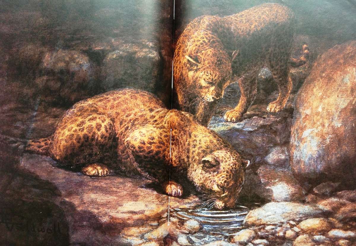 The Conservationists and the Killers - John A Pringle - Hardcover - Book signed by Author