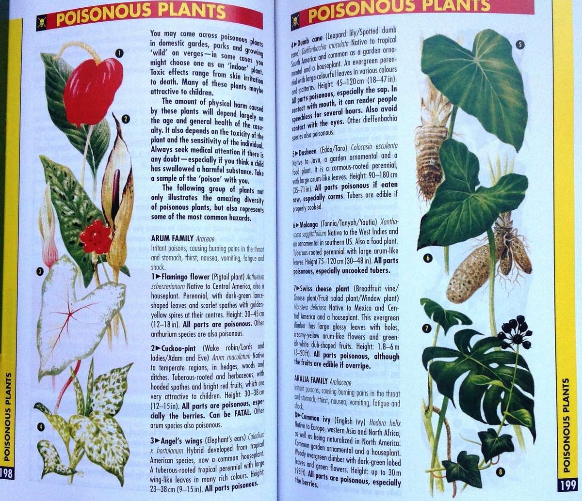 SAS Urban Survival Handbook - John "Lofty" Wiseman