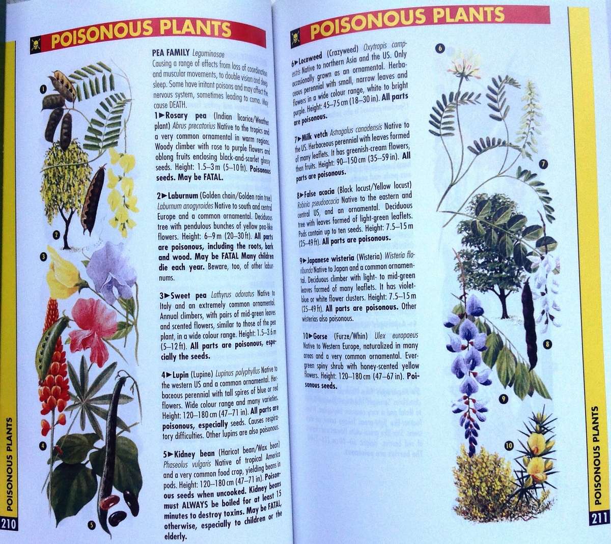 SAS Urban Survival Handbook - John "Lofty" Wiseman