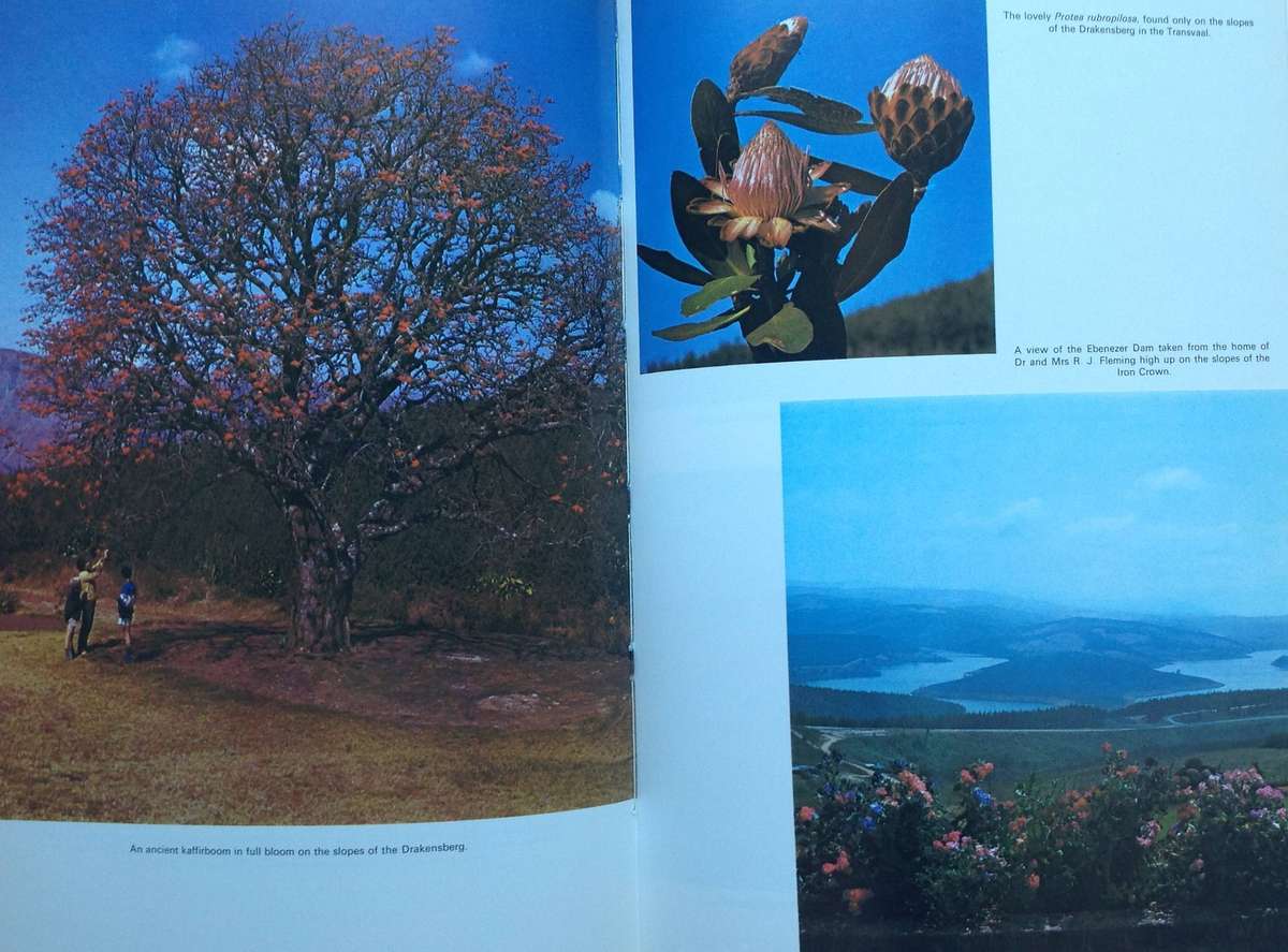 By the Waters of the Letaba - A P Cartwright - Hardcover