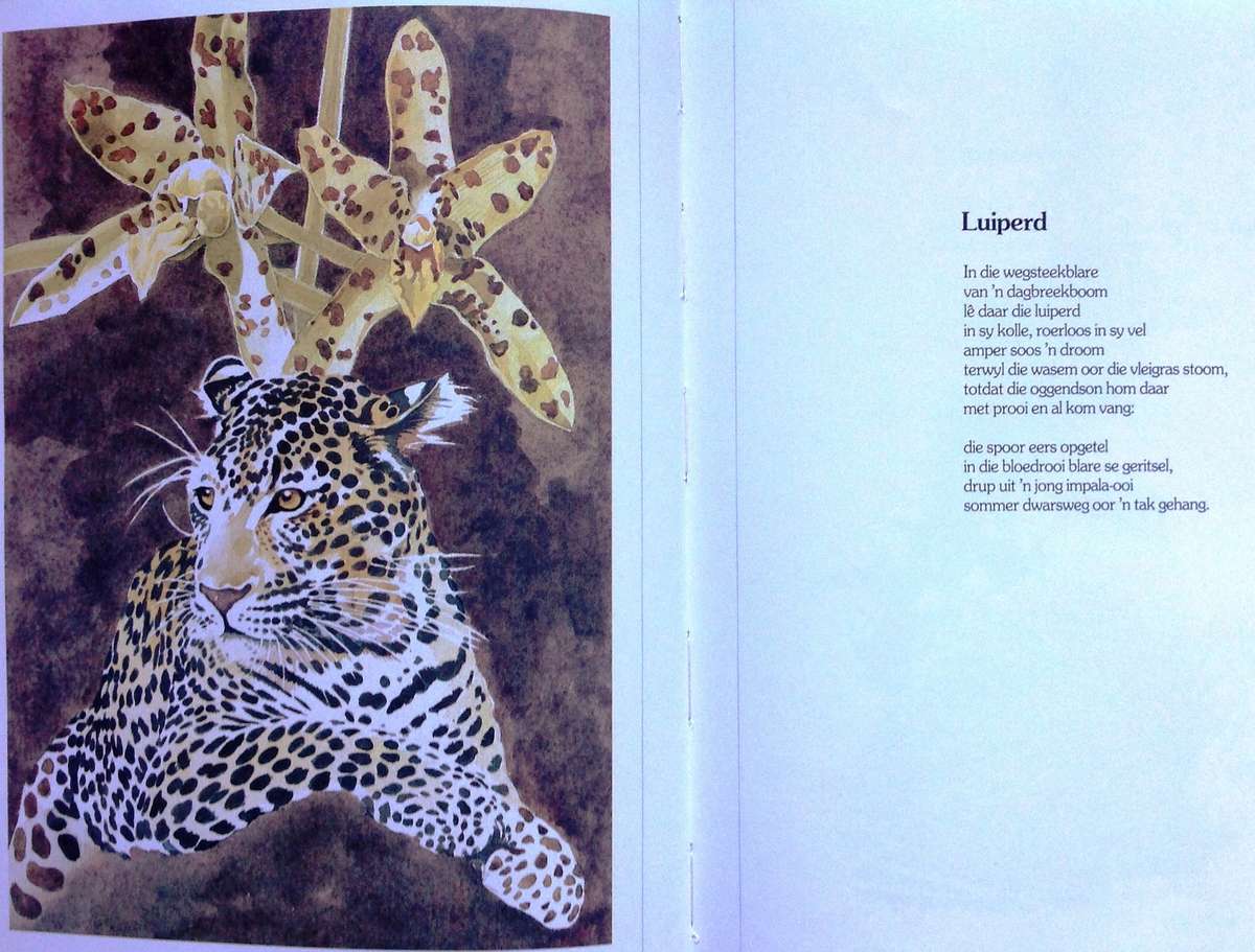 Bokspoortjies - gedigte deur Ted Townsend en illustrasies deur Leigh Voigt - Hardeband - Geteken