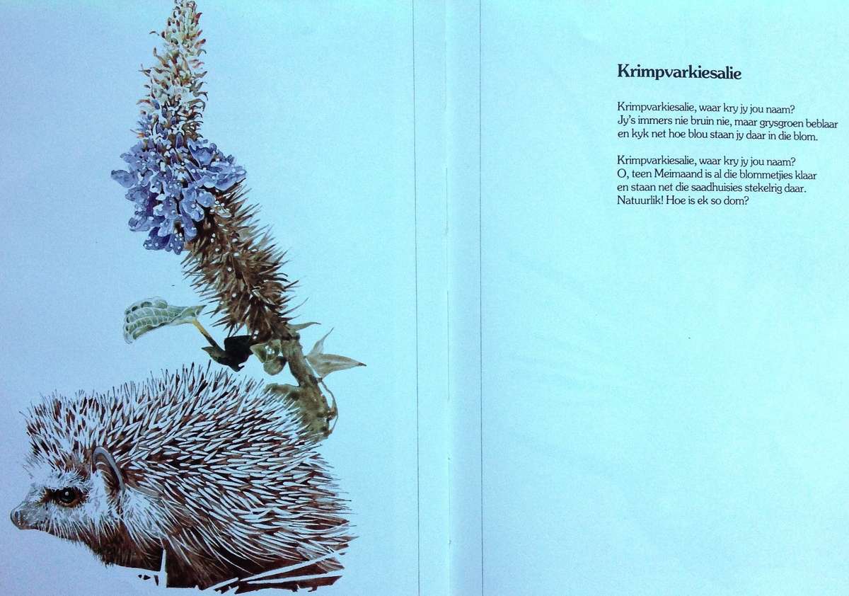 Bokspoortjies - gedigte deur Ted Townsend en illustrasies deur Leigh Voigt - Hardeband - Geteken