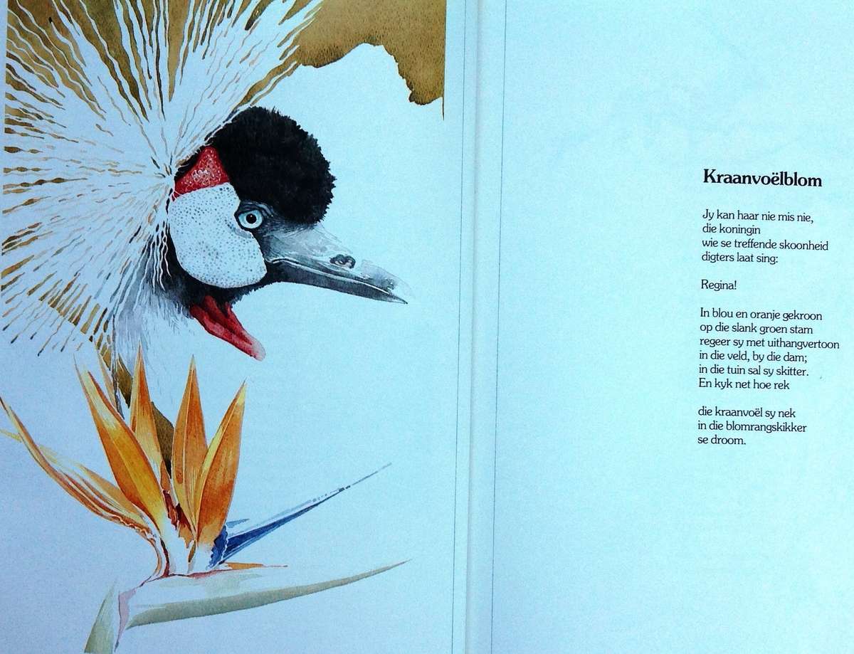 Bokspoortjies - gedigte deur Ted Townsend en illustrasies deur Leigh Voigt - Hardeband - Geteken