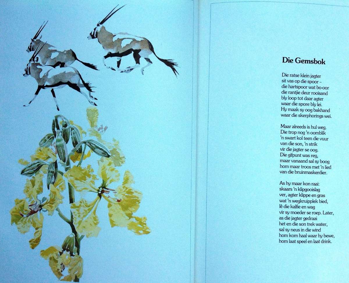 Bokspoortjies - gedigte deur Ted Townsend en illustrasies deur Leigh Voigt - Hardeband - Geteken