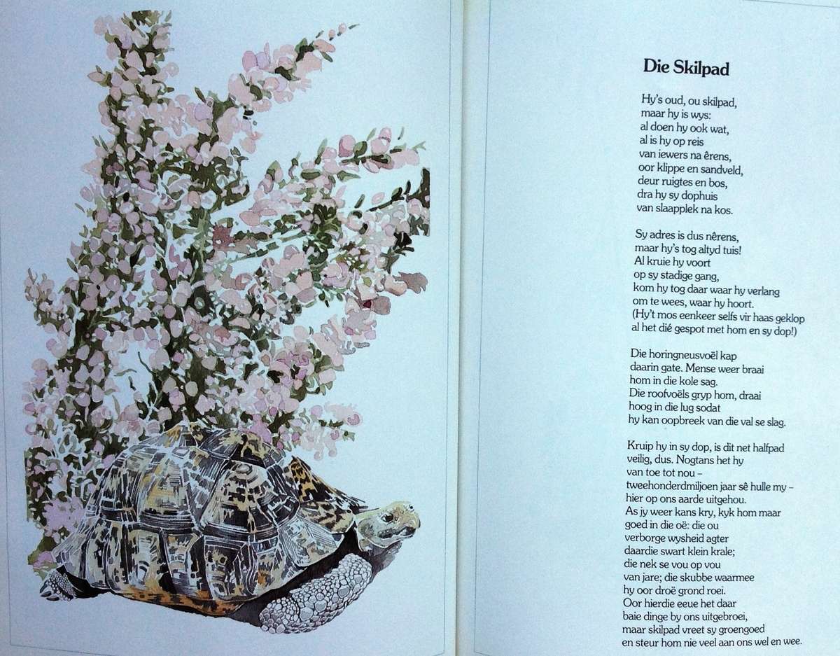 Bokspoortjies - gedigte deur Ted Townsend en illustrasies deur Leigh Voigt - Hardeband - Geteken