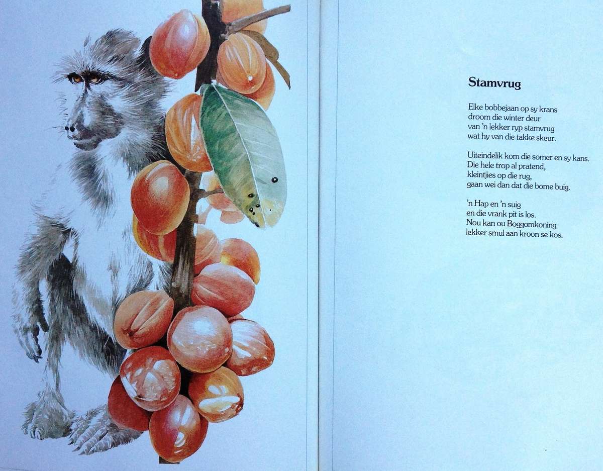 Bokspoortjies - gedigte deur Ted Townsend en illustrasies deur Leigh Voigt - Hardeband - Geteken