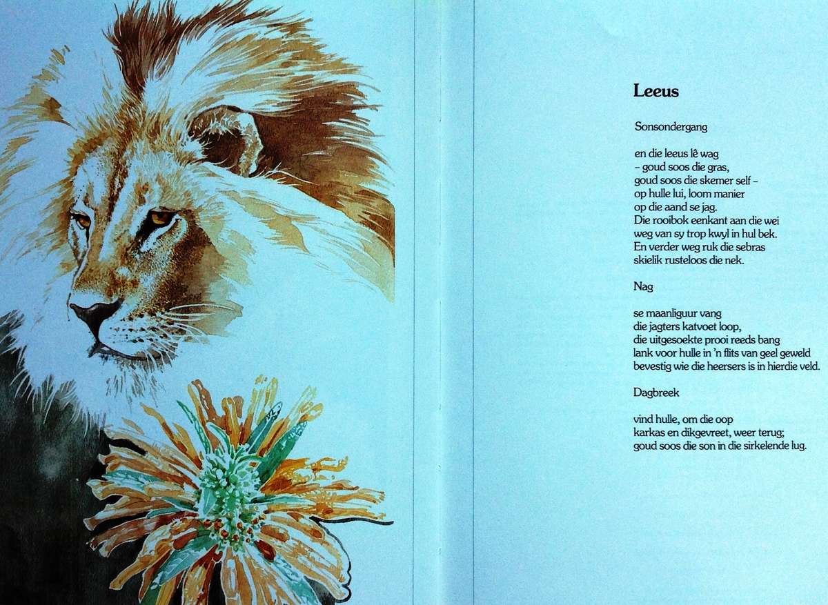 Bokspoortjies - gedigte deur Ted Townsend en illustrasies deur Leigh Voigt - Hardeband - Geteken