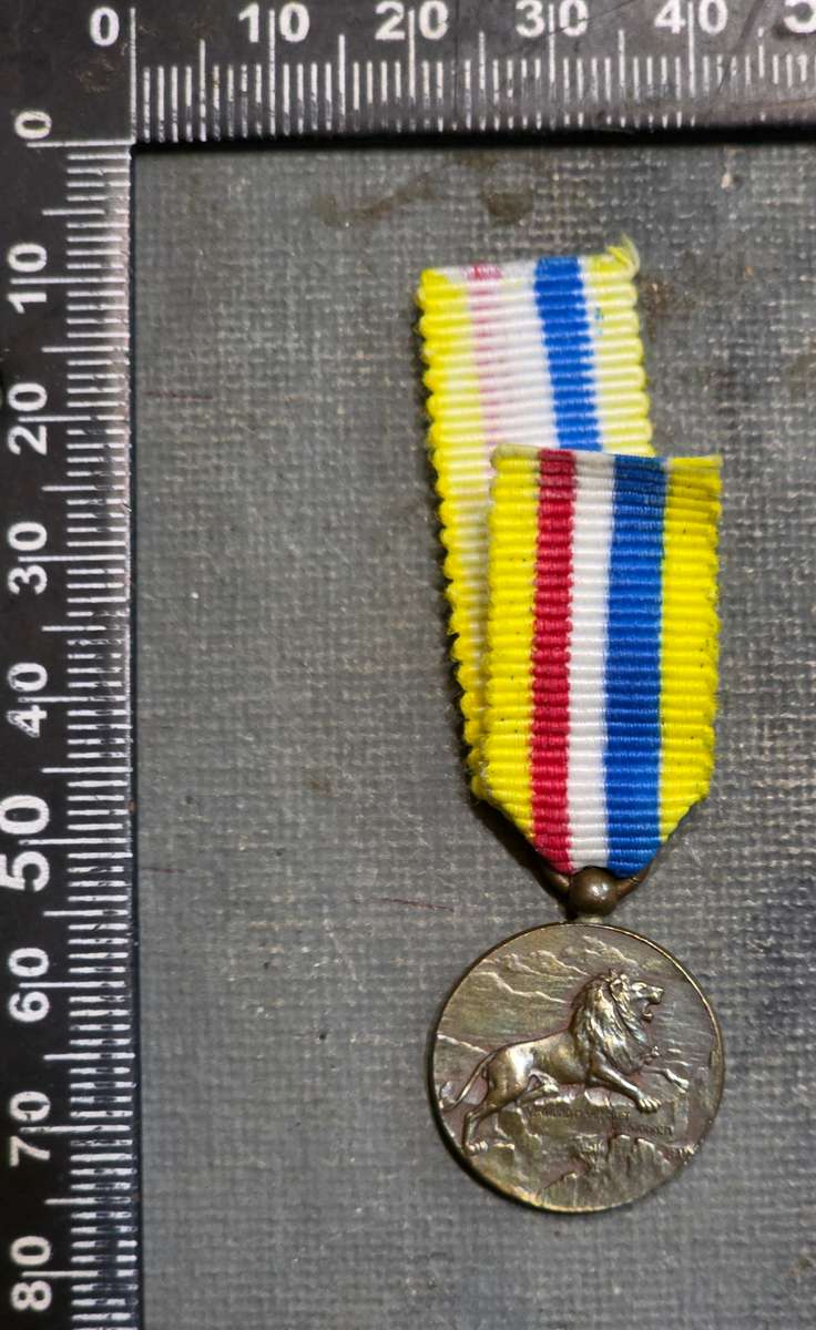 MEDAL OF PRESIDENT MARTHINUS THEUNIS STEYN, 1896-1902