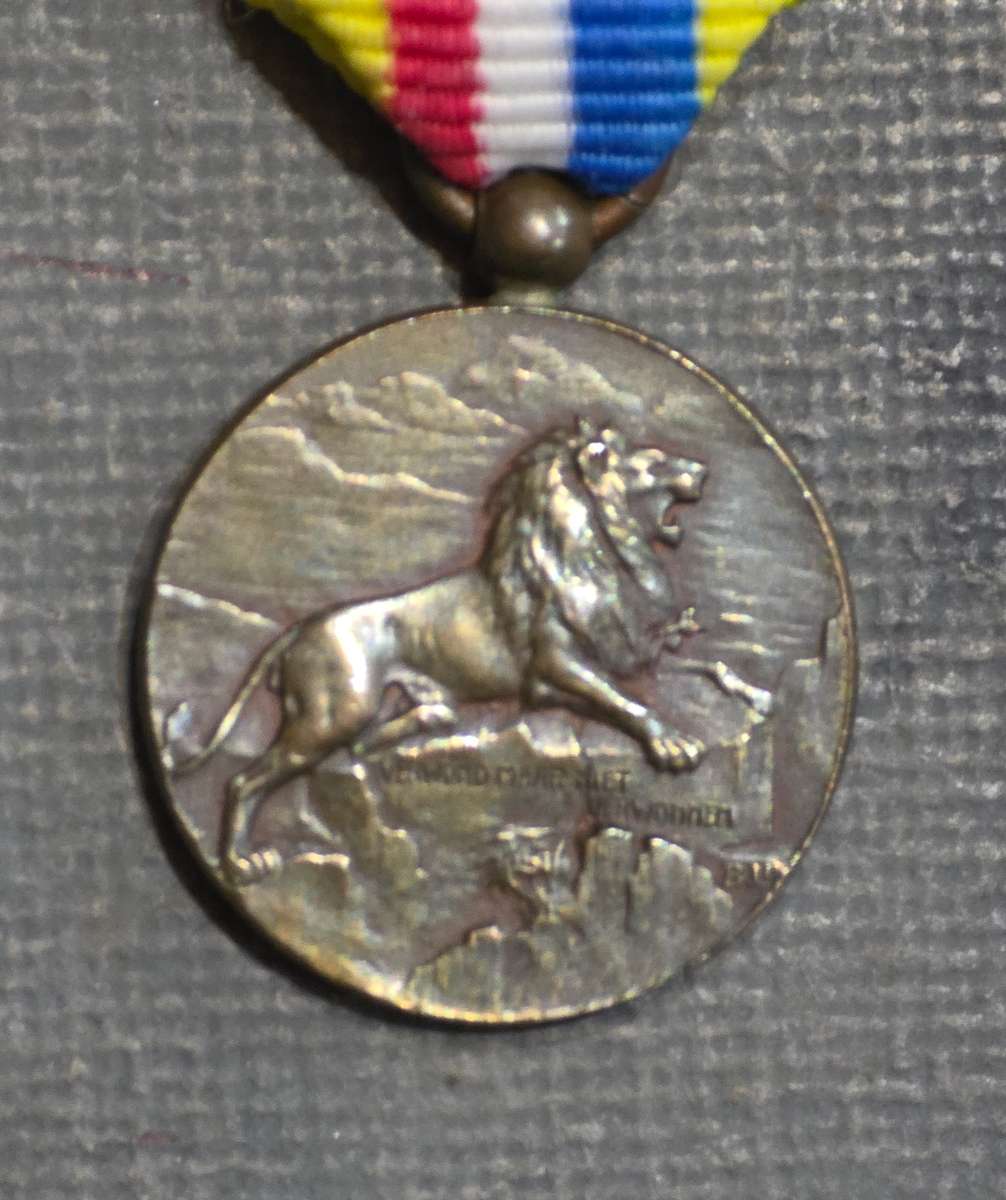 MEDAL OF PRESIDENT MARTHINUS THEUNIS STEYN, 1896-1902
