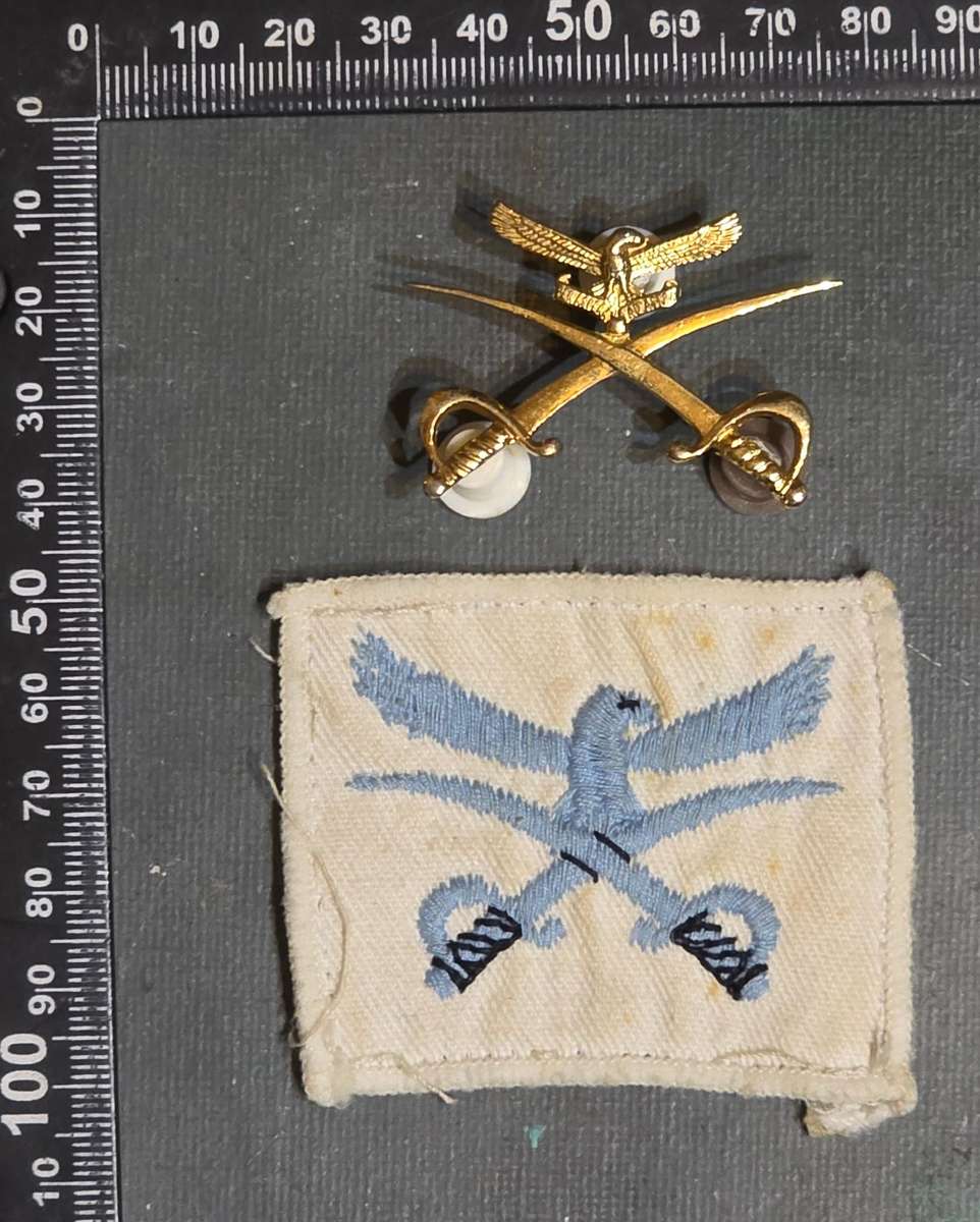 SAAF ADVANCED PHYSICAL TRAINING INSTRUCTOR PTI BADGE SET