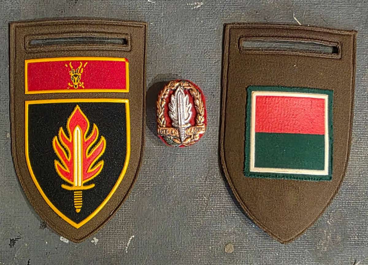 SADF INT SCHOOL BADGE LOT