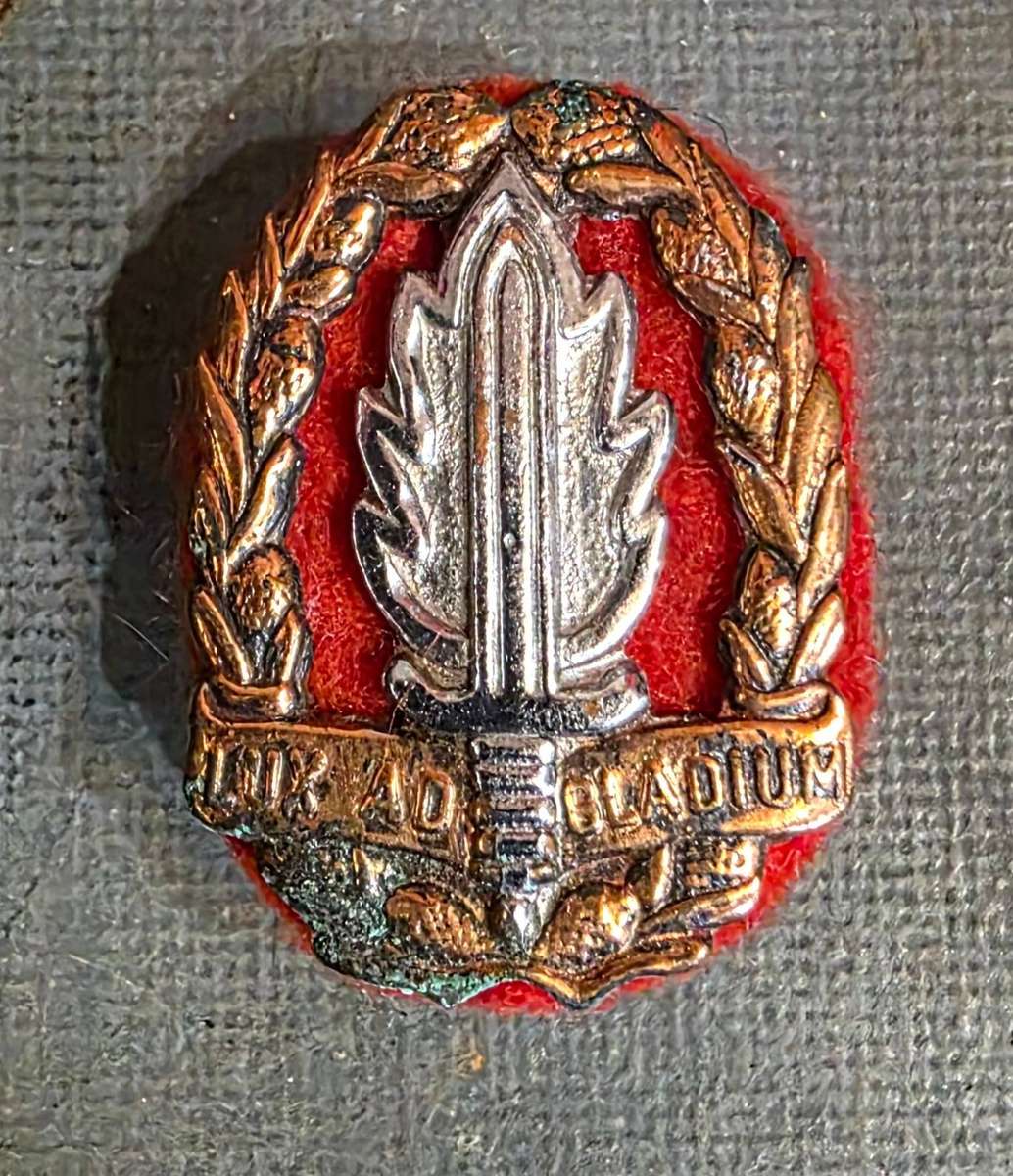 SADF INT SCHOOL BADGE LOT