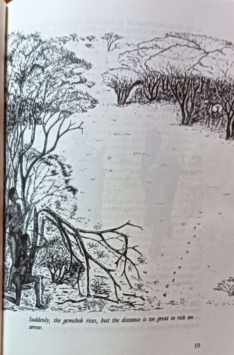 Naro and His Clan - Fritz Metzger - Softcover - 87 pages