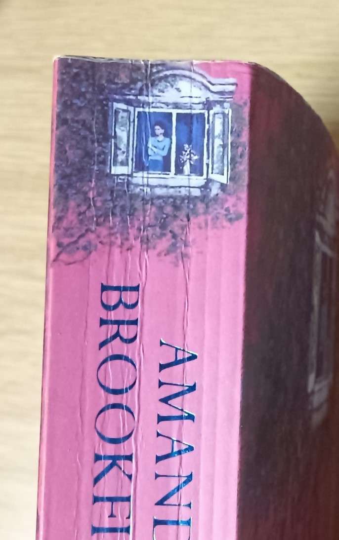 Relative Love - Amanda Brookfield - Softcover - 534 pages