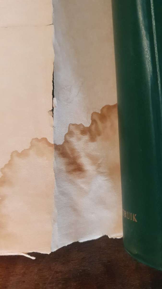 WILD SPORTS OF SOUTHERN AFRICA