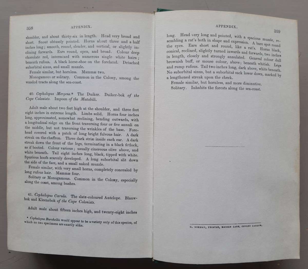 WILD SPORTS OF SOUTHERN AFRICA