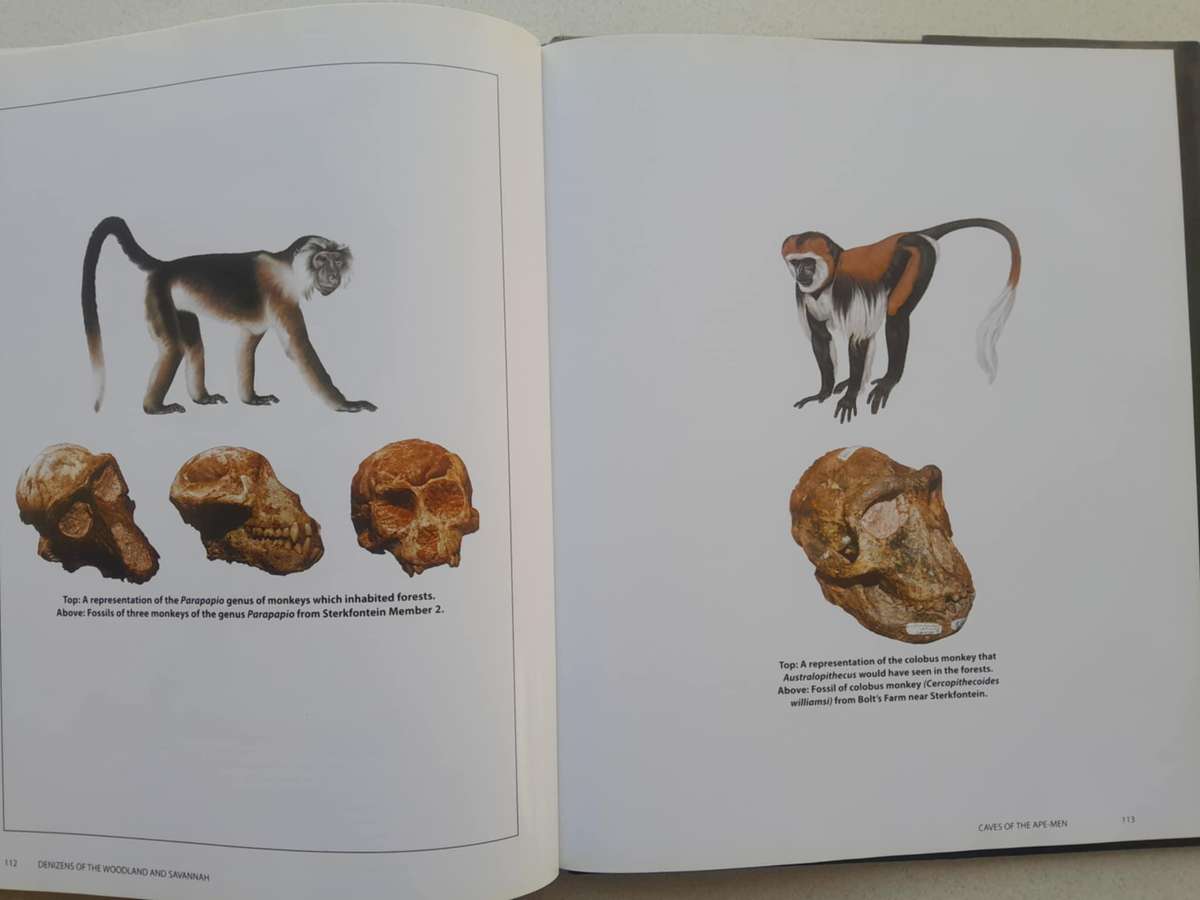 CAVES OF THE APE-MEN