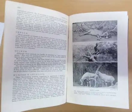 BIG GAME SHOOTING IN AFRICA