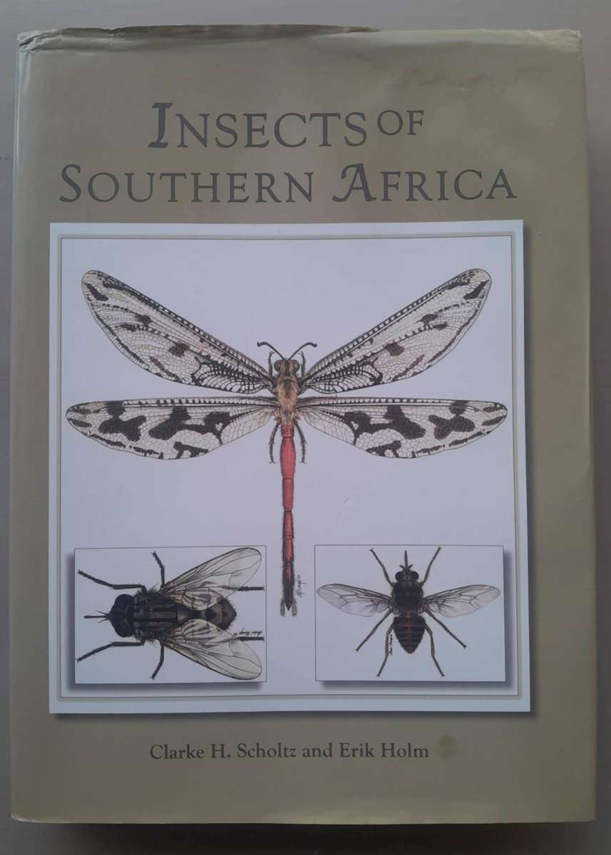 INSECTS OF SOUTHERN AFRICA