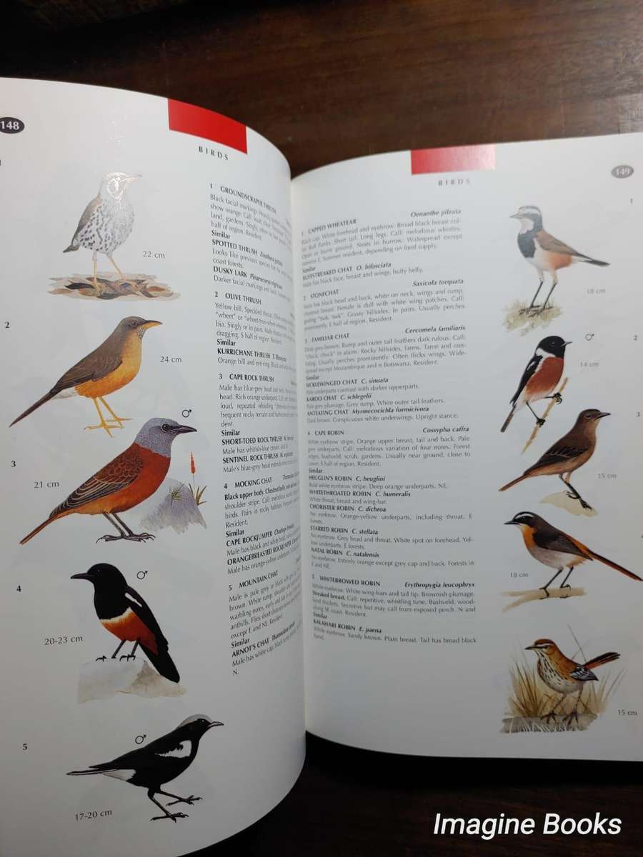 The Wildlife of Southern Africa