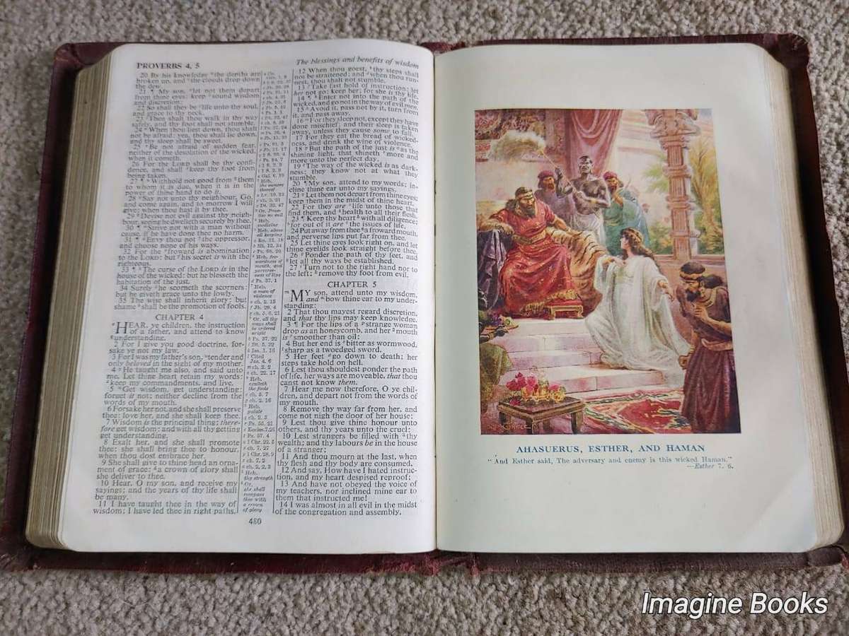Oxford King James Bible, Illustrated