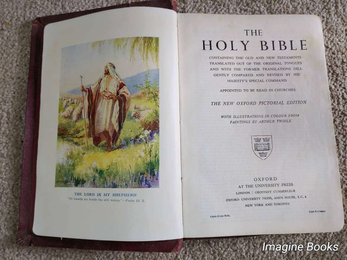 Oxford King James Bible, Illustrated