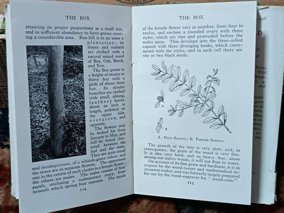 The Observer's Book of Trees & Shrubs