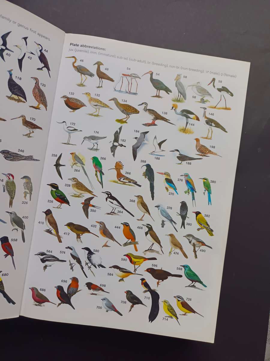 A Comprehensive Illustrated Field Guide Birds of of Africa South of the Sahara by Sinclair, I., Ryan