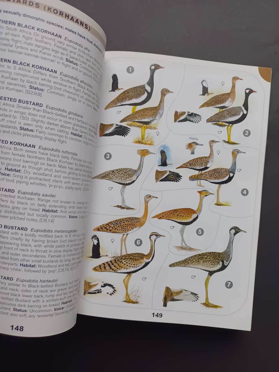 A Comprehensive Illustrated Field Guide Birds of of Africa South of the Sahara by Sinclair, I., Ryan