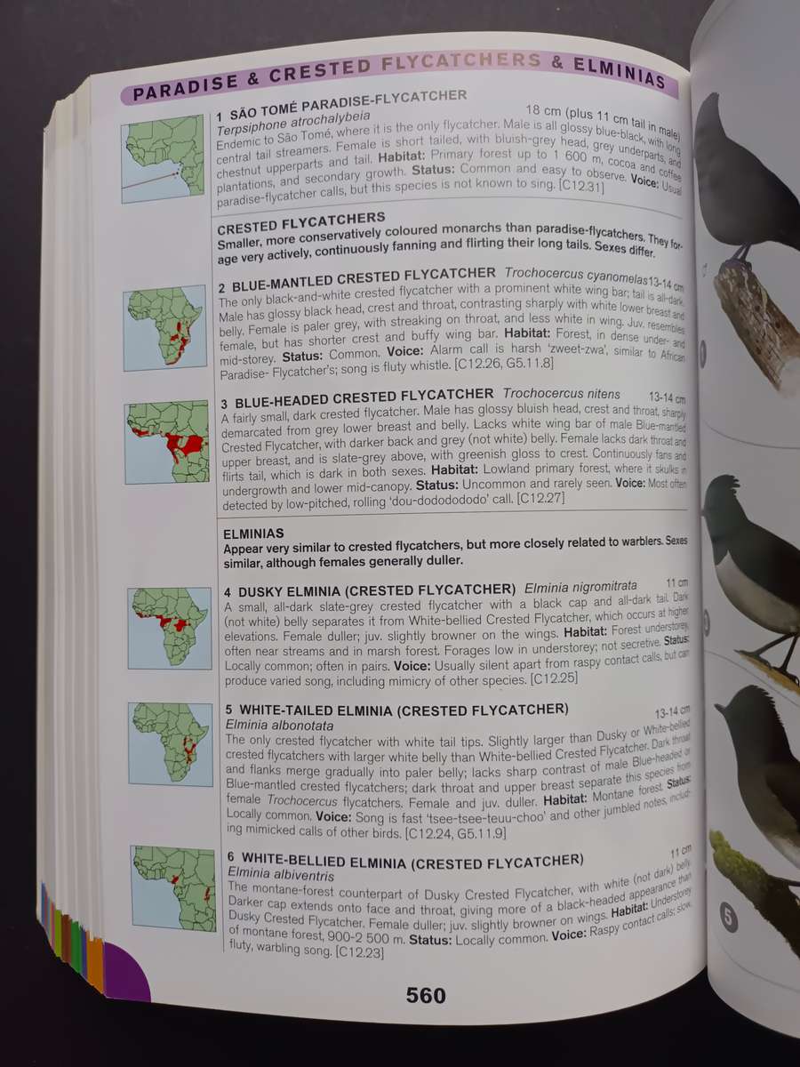 A Comprehensive Illustrated Field Guide Birds of of Africa South of the Sahara by Sinclair, I., Ryan