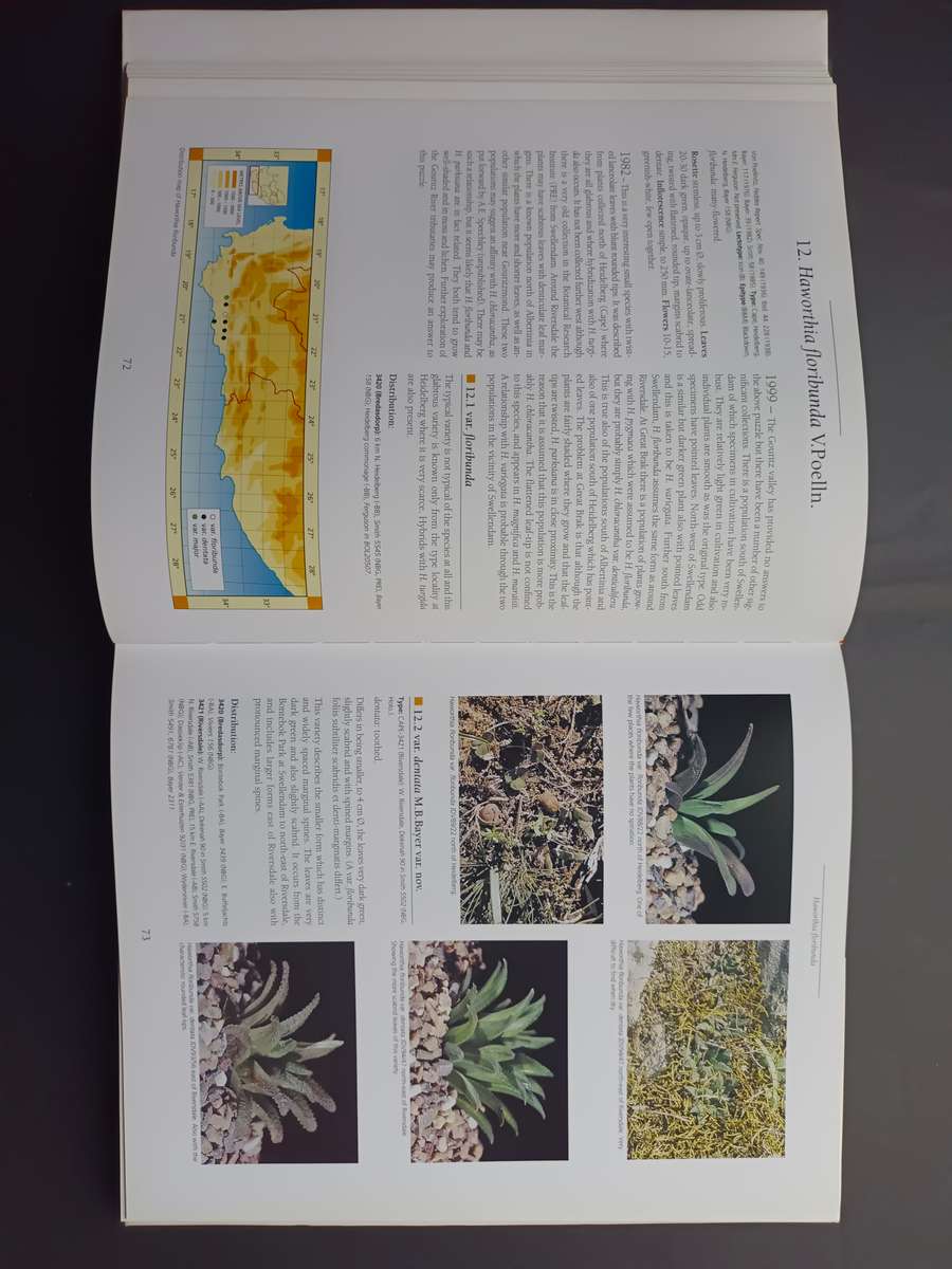 Haworthia Revised: A Revision of the Genus / Bruce Bayer