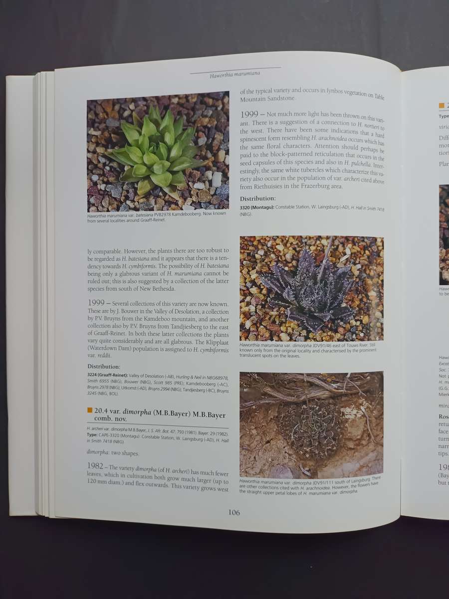 Haworthia Revised: A Revision of the Genus / Bruce Bayer