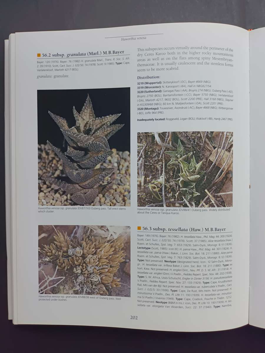 Haworthia Revised: A Revision of the Genus / Bruce Bayer