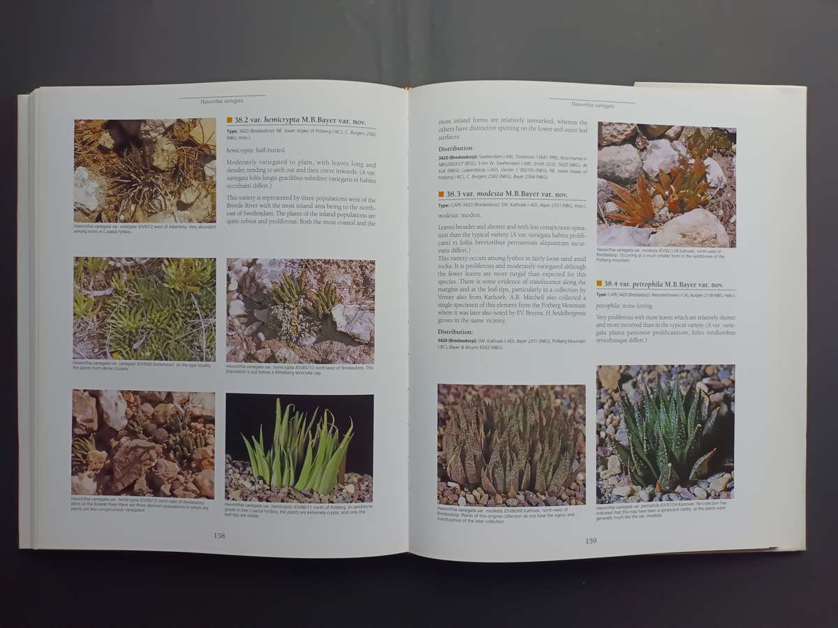 Haworthia Revised: A Revision of the Genus / Bruce Bayer