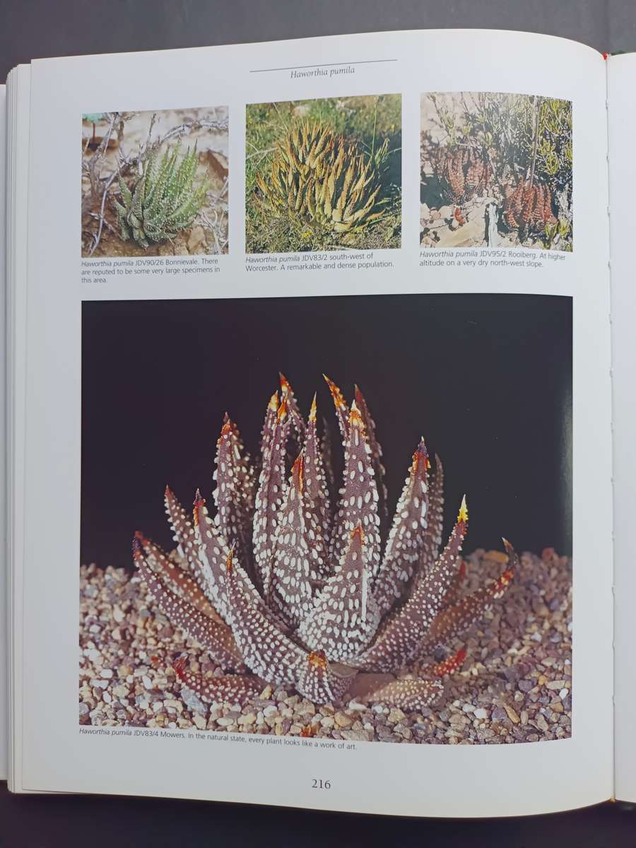 Haworthia Revised: A Revision of the Genus / Bruce Bayer